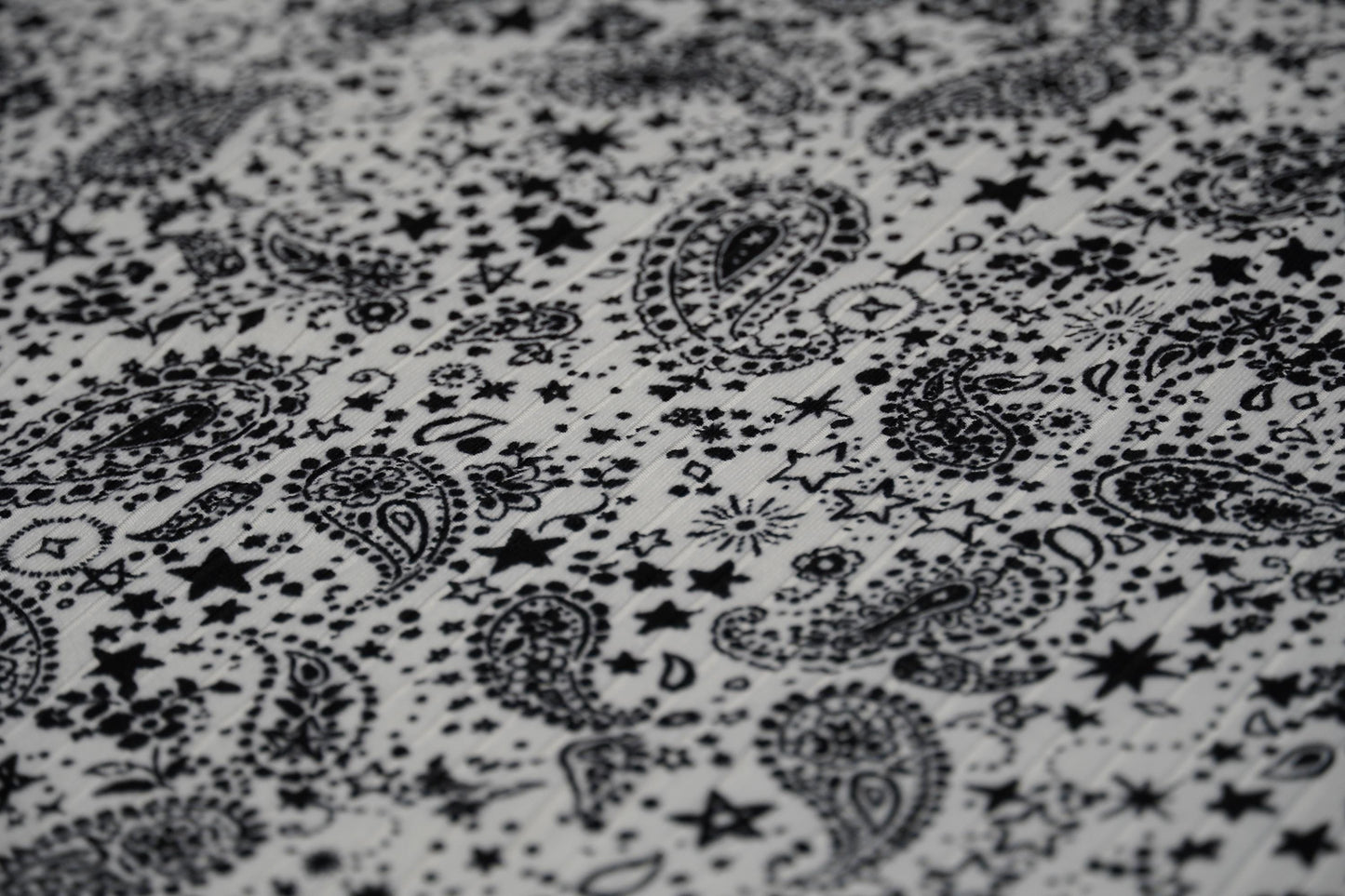 DBP 8x2 Rib Knit Paisley Double Brushed Polyester Spandex Vintage Bandana Monotone White Black Fabric By The Yard