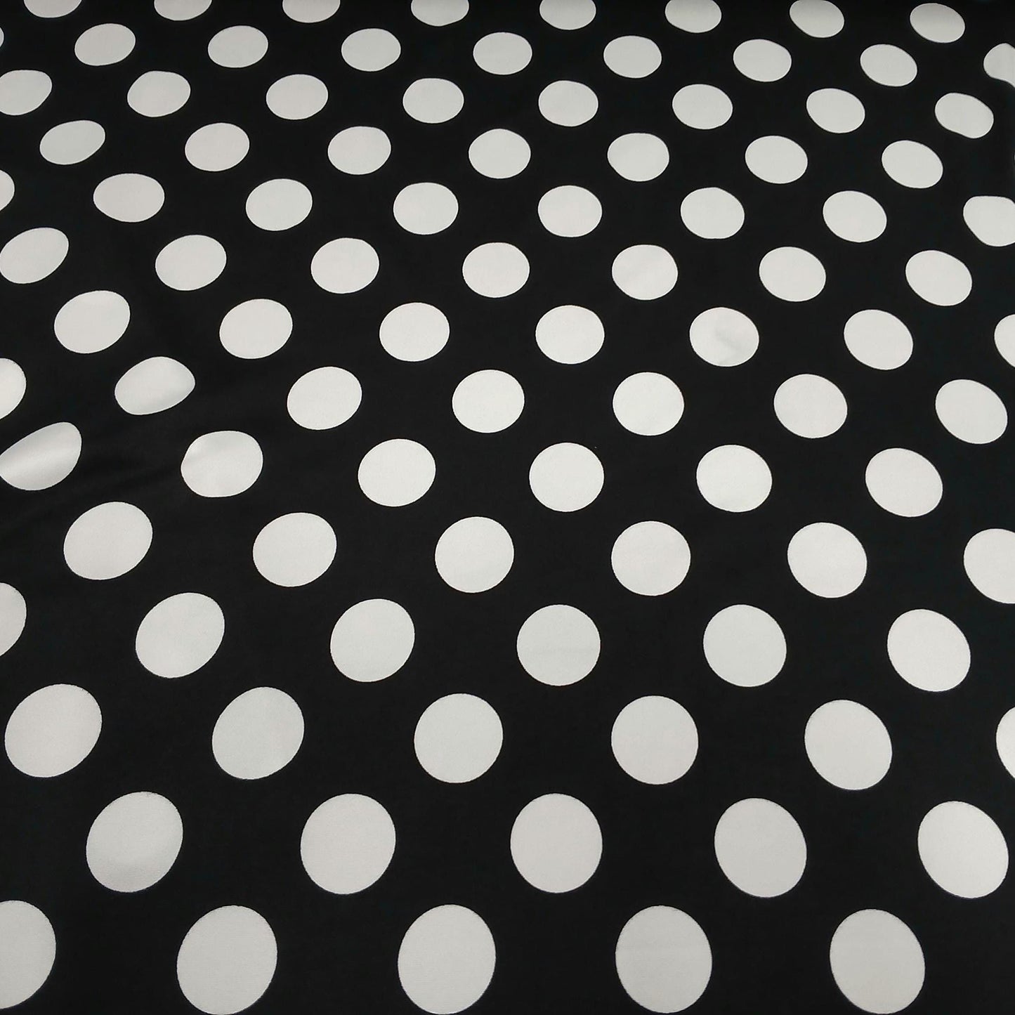 DBP Double Brushed Poly Spandex Print Big Dot Polka Dot Print By The Yard Black