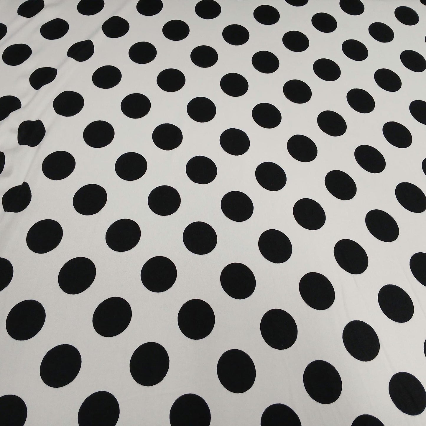 DBP Double Brushed Poly Spandex Print Big Dot Polka Dot Print By The Yard Ivory